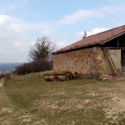 2023 03 02 LES TROIS SOMMETS DE BIZKARZUN, ZUHALMENDI ET ESNAUR