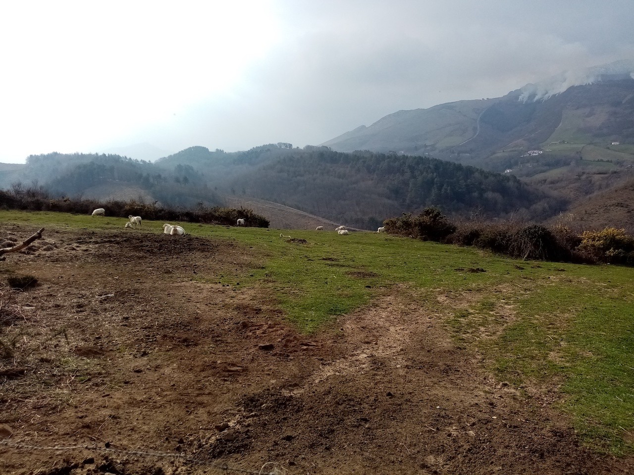 2023 03 02 LES TROIS SOMMETS DE BIZKARZUN, ZUHALMENDI ET ESNAUR