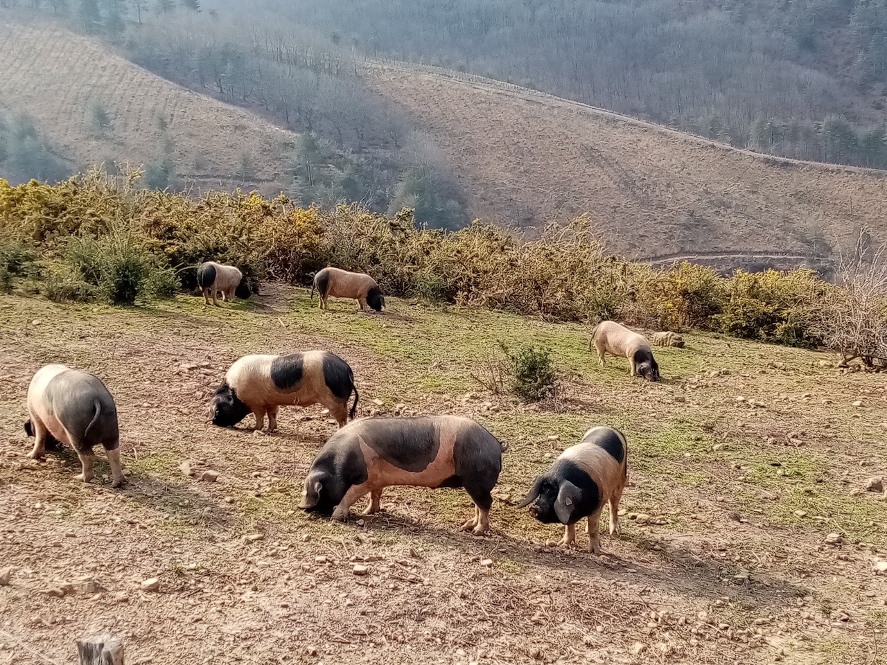 2023 03 02 LES TROIS SOMMETS DE BIZKARZUN, ZUHALMENDI ET ESNAUR