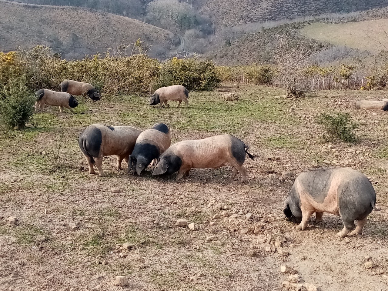 2023 03 02 LES TROIS SOMMETS DE BIZKARZUN, ZUHALMENDI ET ESNAUR