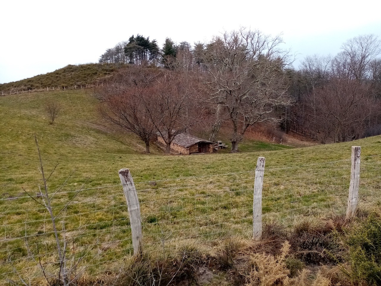 2023 03 02 LES TROIS SOMMETS DE BIZKARZUN, ZUHALMENDI ET ESNAUR