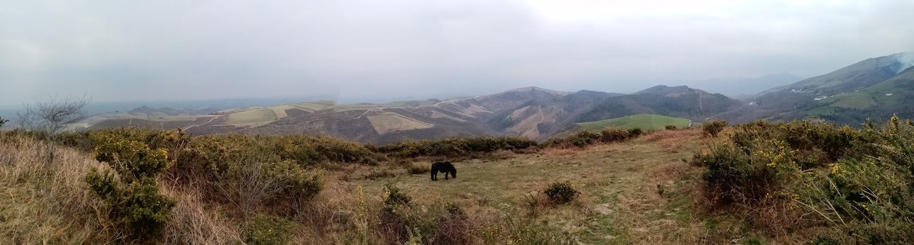 2023 03 02 LES TROIS SOMMETS DE BIZKARZUN, ZUHALMENDI ET ESNAUR