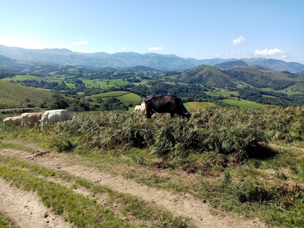 2023 09 19 Hotxa Handia en boucle depuis Ascombeguy-Basse Navarre