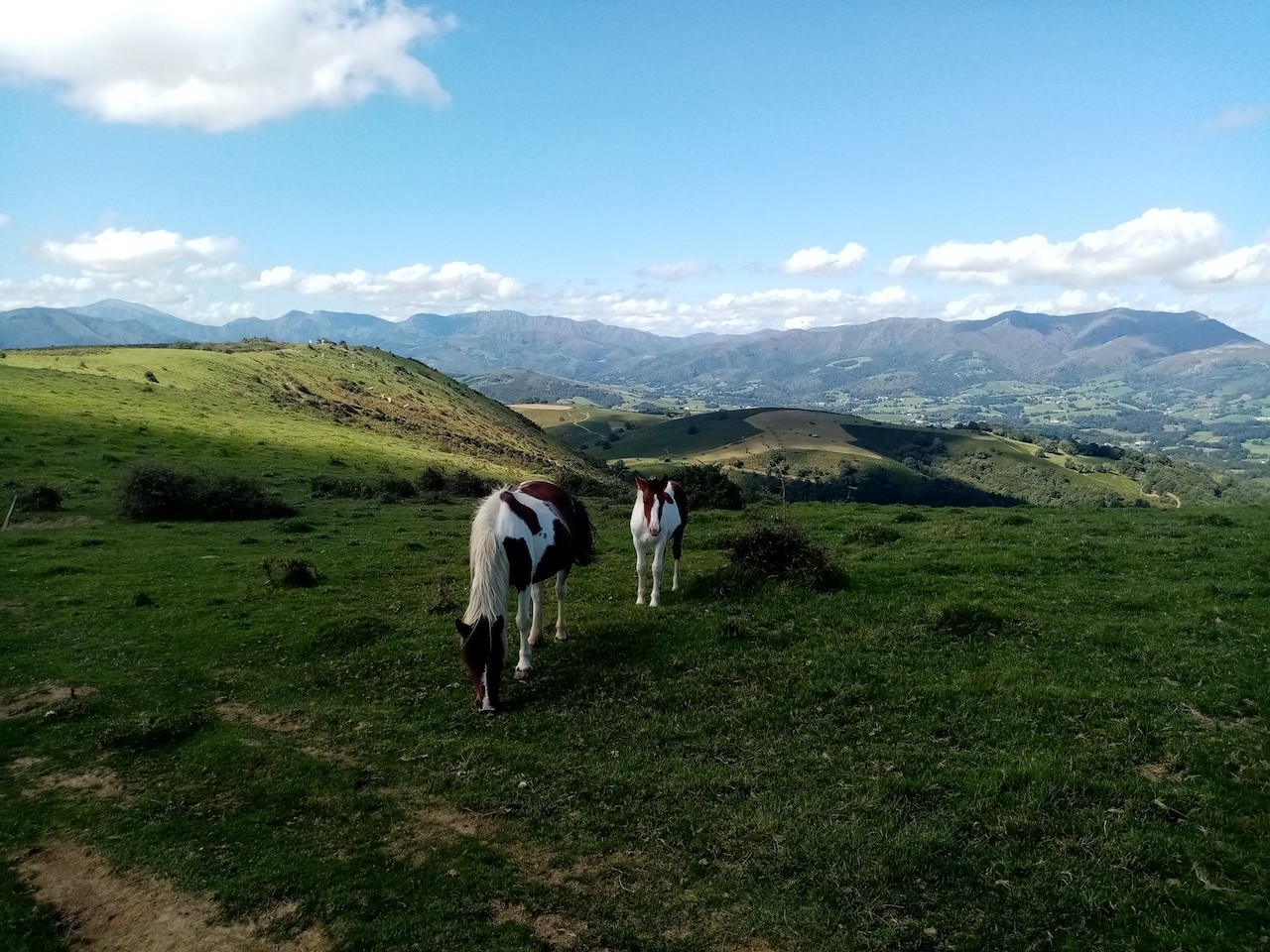 2023 09 19 Hotxa Handia en boucle depuis Ascombeguy-Basse Navarre