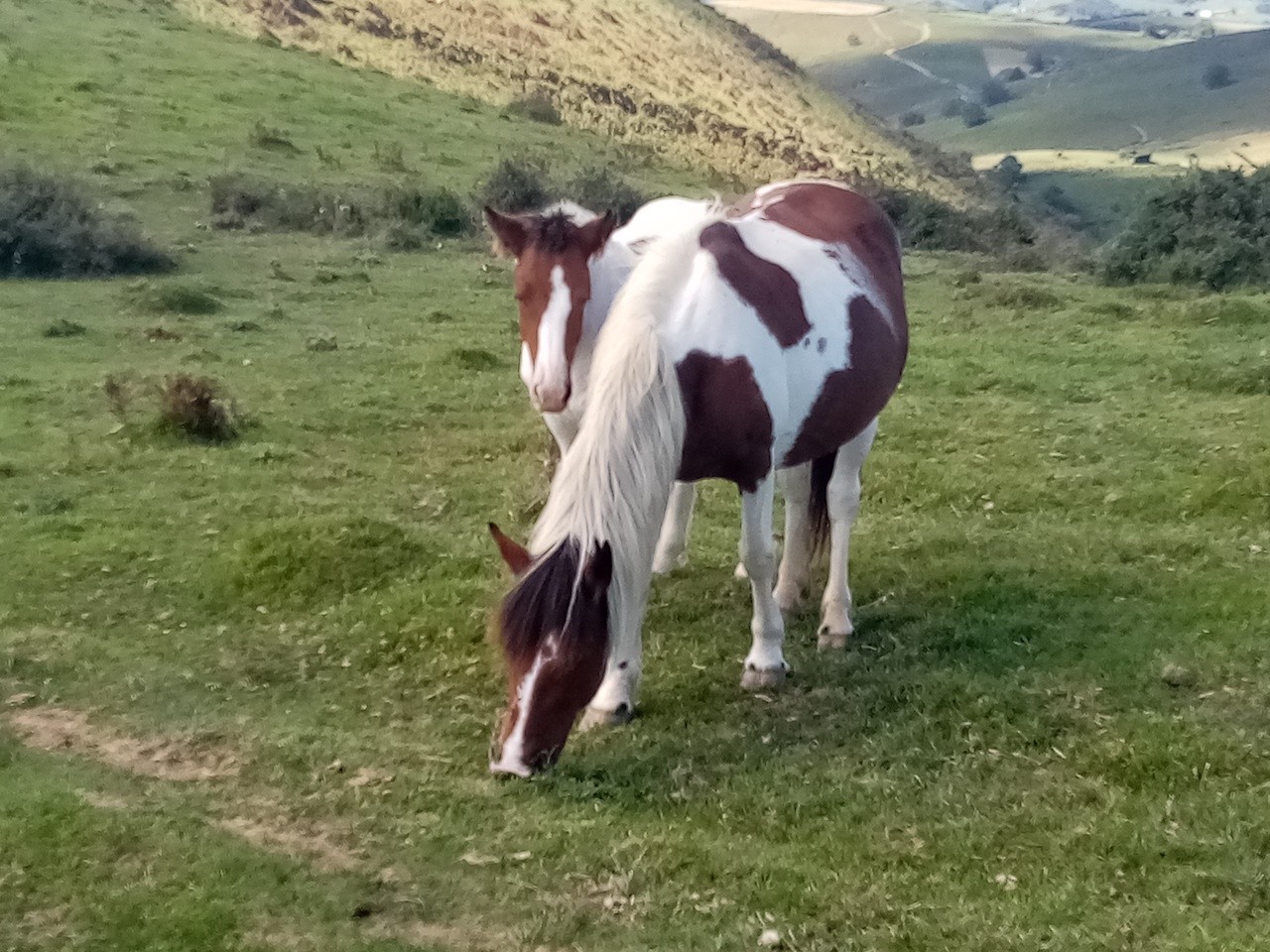 2023 09 19 Hotxa Handia en boucle depuis Ascombeguy-Basse Navarre