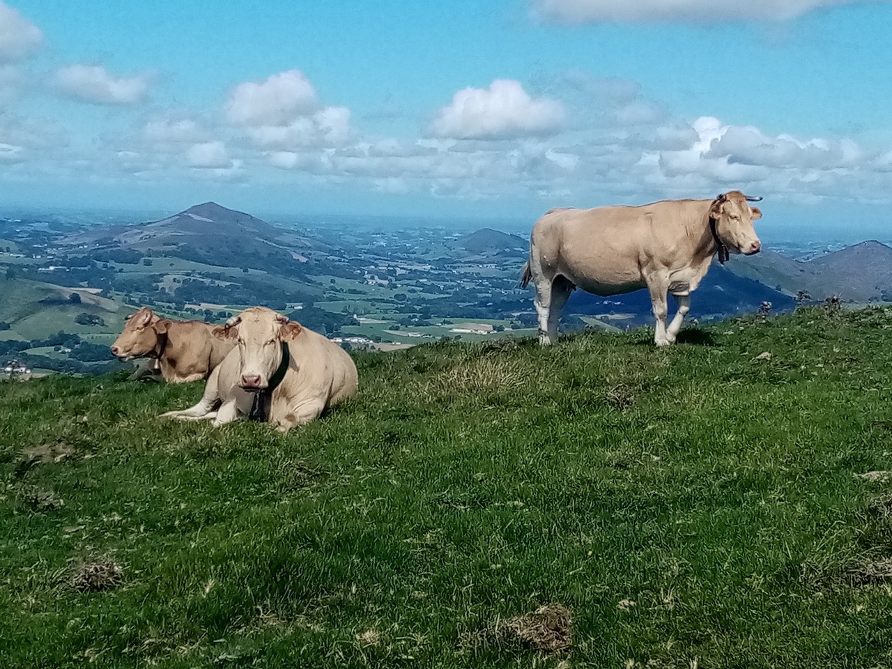 2023 09 19 Hotxa Handia en boucle depuis Ascombeguy-Basse Navarre