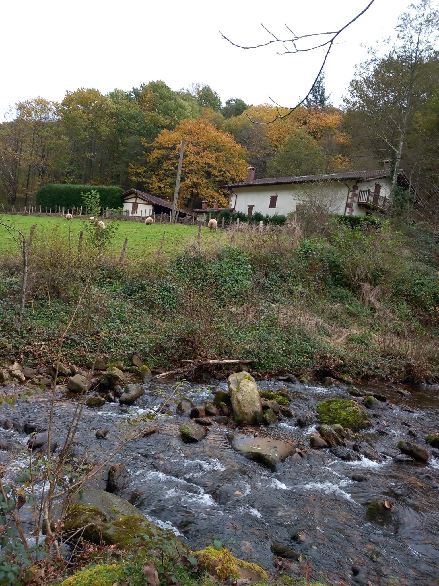 2024 11 26 VILLAGE ABANDONNE