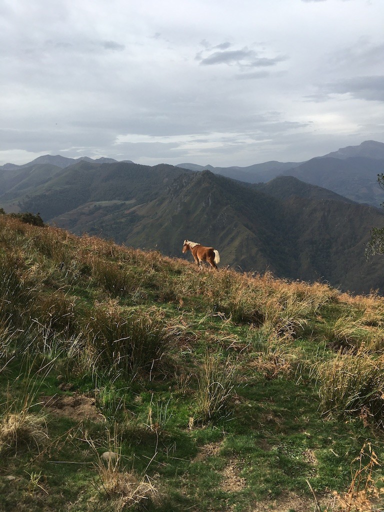 Mont HARRIBELZETA Haute Soule