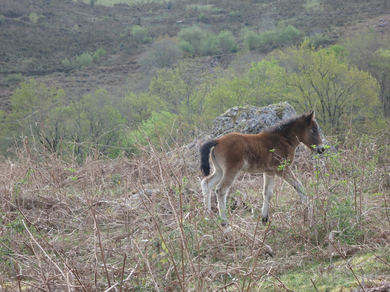 2022 04 13 COL DES TROIS BORNES