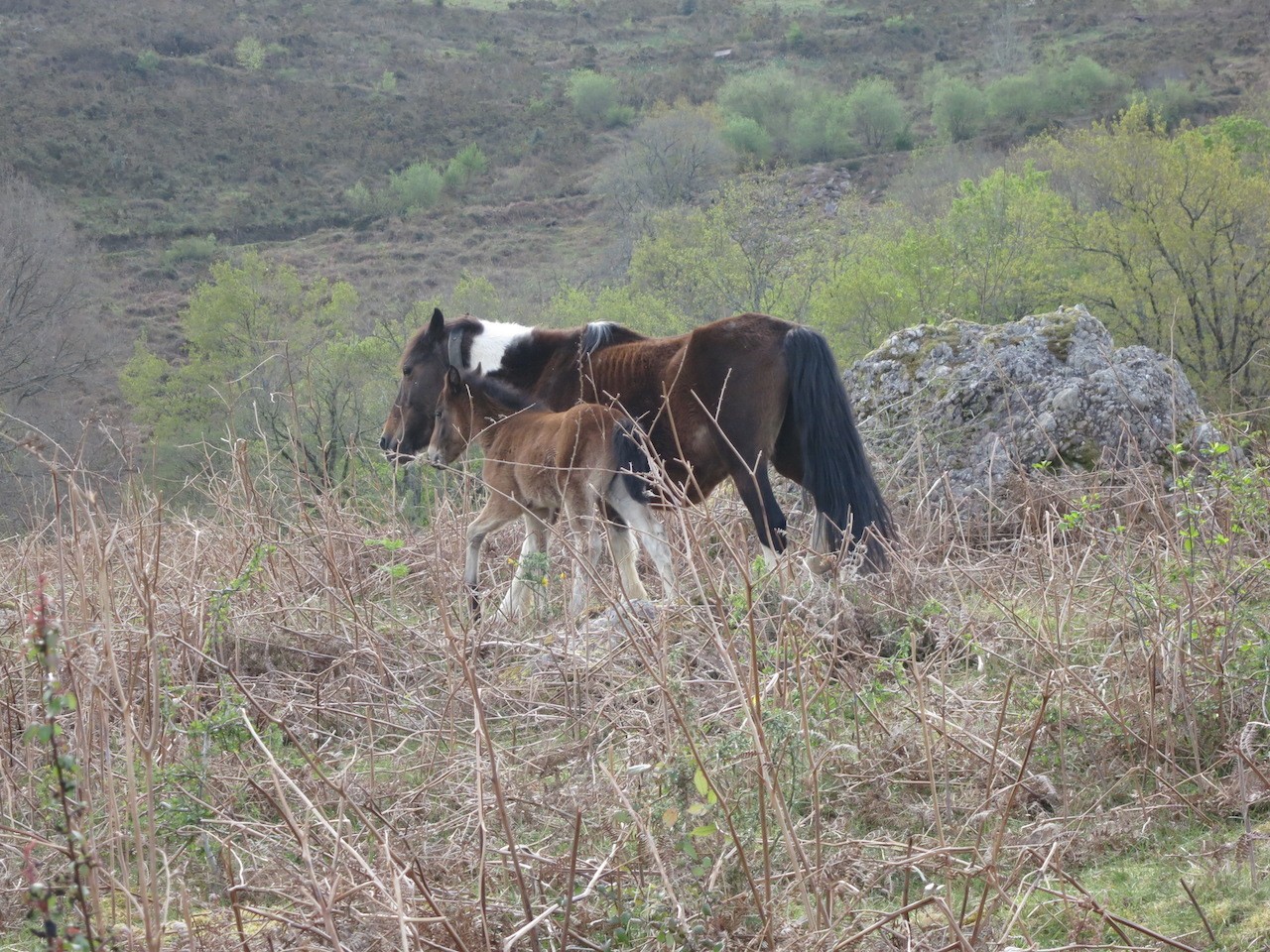 2022 04 13 COL DES TROIS BORNES