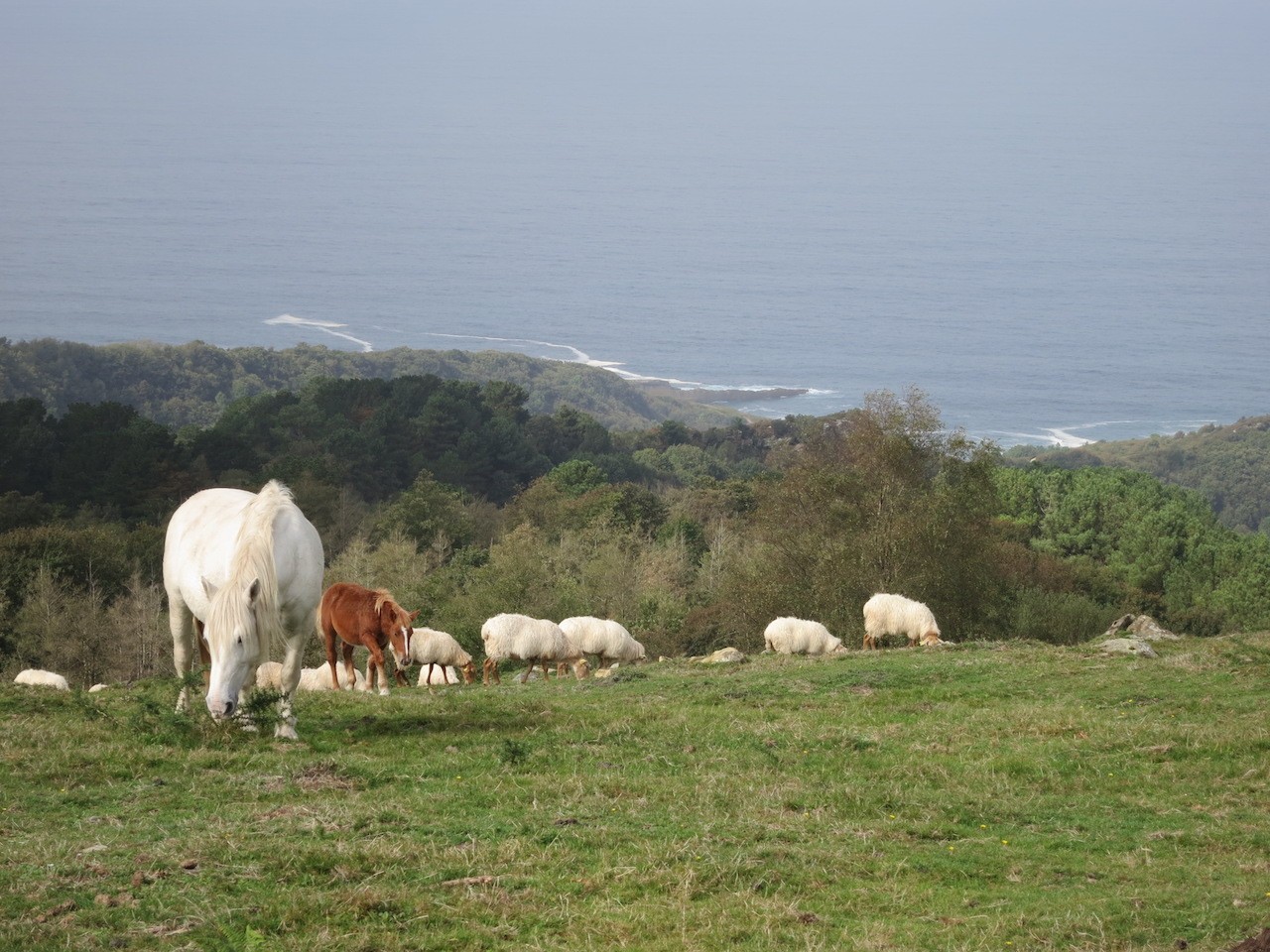 JAIZKIBEL depuis BENTA JUSTIZ (HONDARRIBIA)