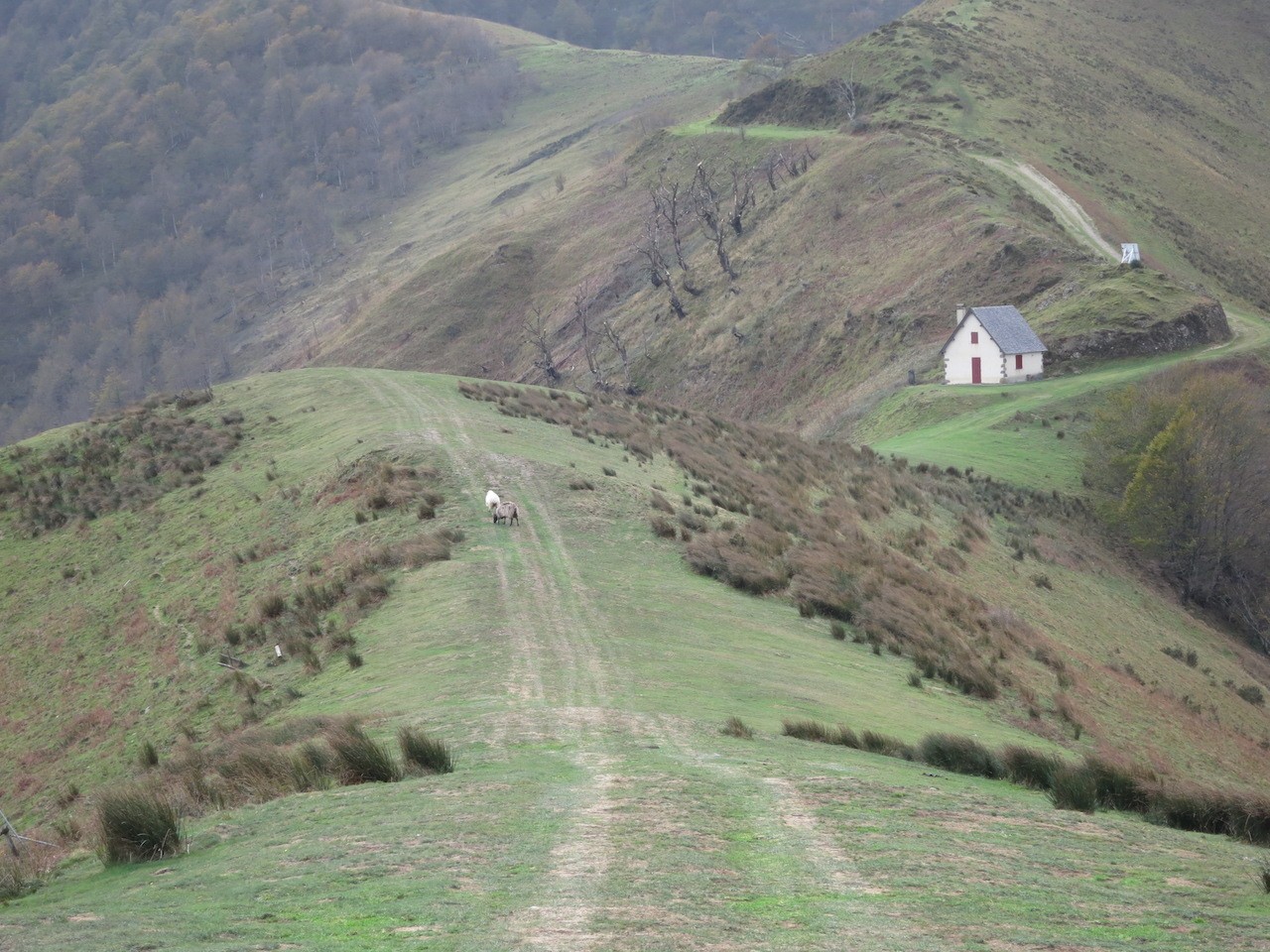 Mont HARRIBELZETA Haute Soule