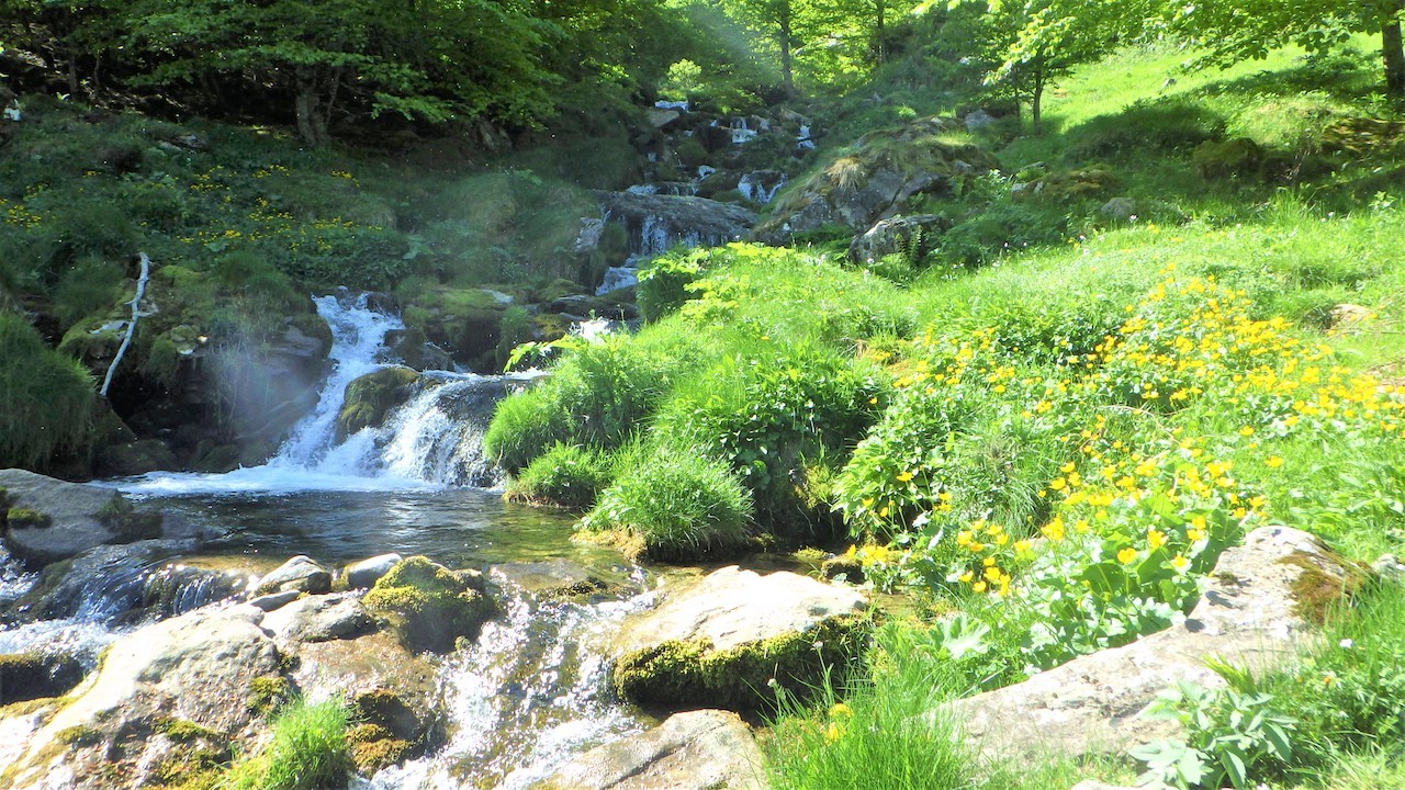 2022 05 31 CASCADE DE PISTA COL DE PORTILLOUA