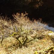 2024 01 30 Boucle dans le Parc naturel d'Artikutza