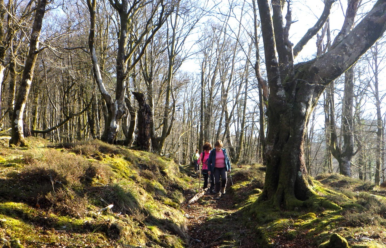 2024 01 30 Boucle dans le Parc naturel d'Artikutza