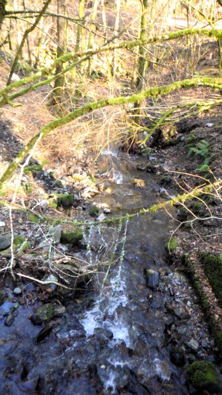 2024 01 30 Boucle dans le Parc naturel d'Artikutza