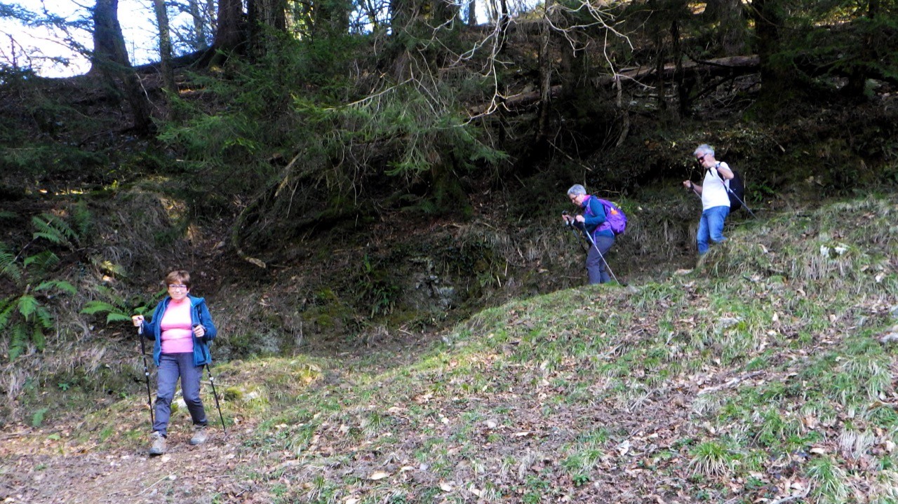 2024 01 30 Boucle dans le Parc naturel d'Artikutza