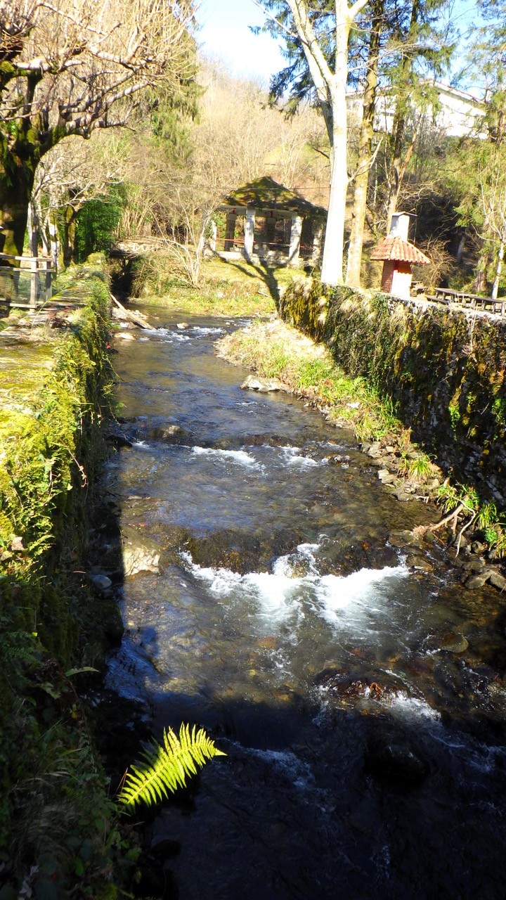 2024 01 30 Boucle dans le Parc naturel d'Artikutza