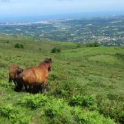 LA RHUNE DE COL EN COL DEPUIS SARE